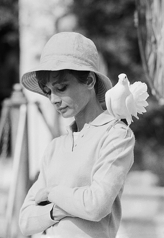 Audrey Hepburn, Dove, St. Tropez, 1966