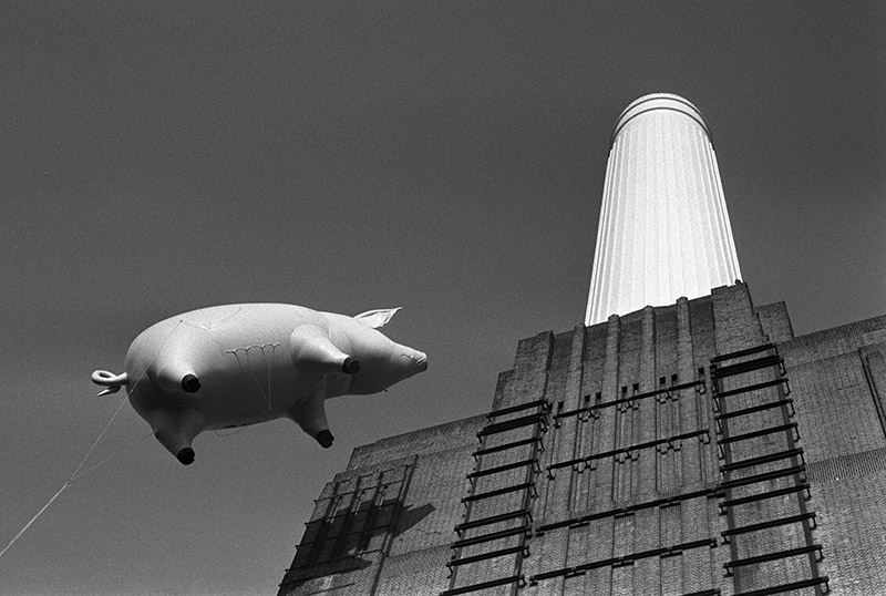 Pink Floyd, Animals Cover Shoot (3A), Battersea Power Station, London, 1976