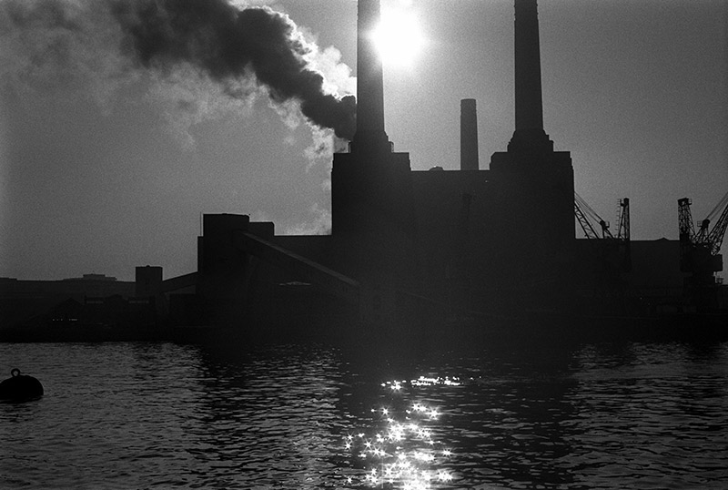 Pink Floyd, Animals Cover Shoot (36A), Battersea Power Station, London, 1976