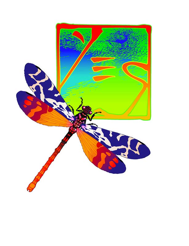 Yes Dragonfly Chop Logo III, 2001